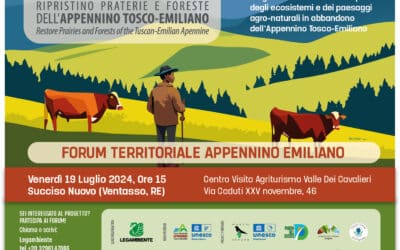 Recupero delle Praterie e Foreste dell’Appennino Emiliano – 19.07.2024 Forum a Succiso (RE) – Progetto APE TOE